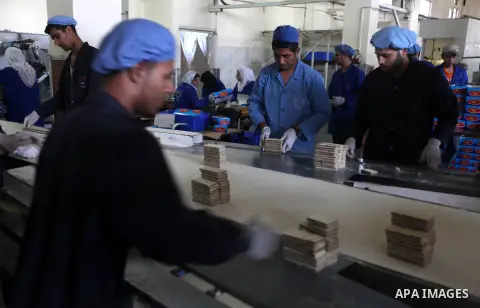 Palestinian workers quality control biscuits at the al-Awda factory in Deir al-Balah, in the central Gaza strip, on October 10, 2012. The World Food Program (WFP) will export the biscuits to United Nation run schools in...
