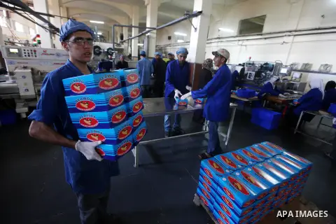 Palestinian workers quality control biscuits at the al-Awda factory in Deir al-Balah, in the central Gaza strip, on October 10, 2012. The World Food Program (WFP) will export the biscuits to United Nation run schools in...