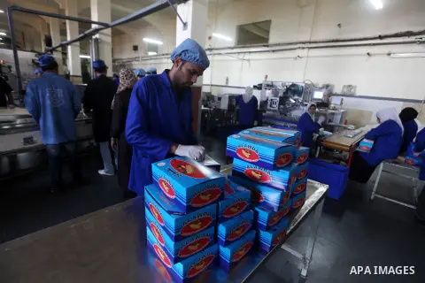 Palestinian workers quality control biscuits at the al-Awda factory in Deir al-Balah, in the central Gaza strip, on October 10, 2012. The World Food Program (WFP) will export the biscuits to United Nation run schools in...