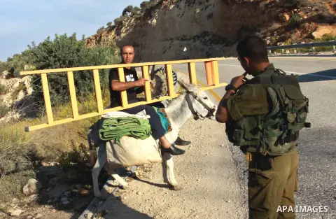 Israeli soldiers guard as Palestinians make their way to harvest olive trees on the outskirts of the West Bank village of Salem, near the Jewish settlement of Elone Moreh, east of Nablus October 11, 2012. Photo by Nedal...