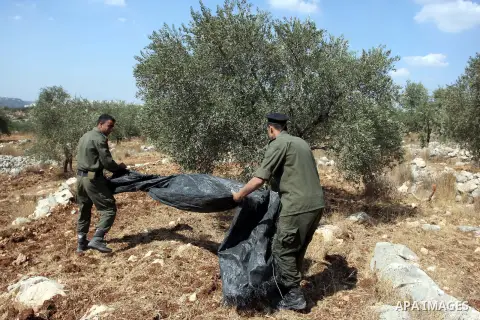 Members of the Palestinian security forces help farmers collect harvest their olives, in the West bank village of Kafr Nimih, near Ramallah, 11 October 2012. Palestinian national forces launched a campaign to help farmer...