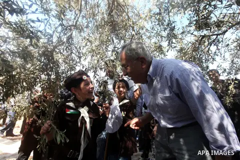 Palestinian Prime Minister Salam Fayyad attends the opening of olive harvest season in the village of Jayyous in the West Bank city of Qalqilya,11 October 2012. Photo by Mustafa Abu Dayeh