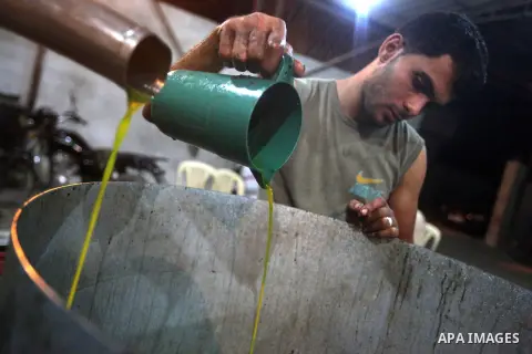 A Palestinian worker checked the quality of olive oil after it was extracted from an olive press in Gaza City on Oct. 12, 2012. Agriculture is a major sector of the Palestinian economy, employing a large part Palestinian...