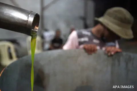Palestinian workers produce olive oil in the olive press in Gaza city on Oct. 12,2012 during the olive harvesting season. Agriculture is a major sector of the Palestinian economy, employing a large part Palestinians. Pho...