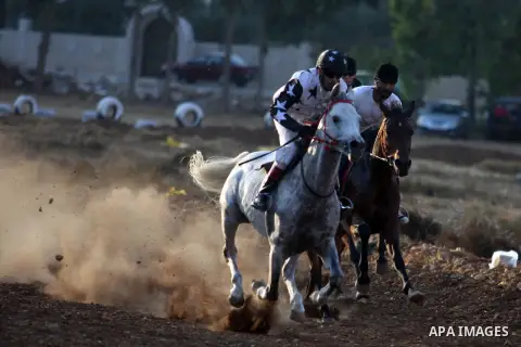 Palestinian jockeys race during an annual championship in the West Bank village of Turmus Aya, near Ramallah October 12, 2012. Some 60 competitors took part in the third annual local championship organised by the Turmus...