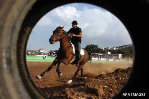 Palestinian jockeys race during an annual championship in the West Bank village of Turmus Aya, near Ramallah October 12, 2012. Some 60 competitors took part in the third annual local championship organised by the Turmus...