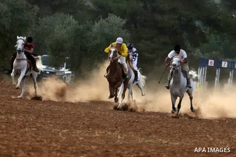 Palestinian jockeys race during an annual championship in the West Bank village of Turmus Aya, near Ramallah October 12, 2012. Some 60 competitors took part in the third annual local championship organised by the Turmus...