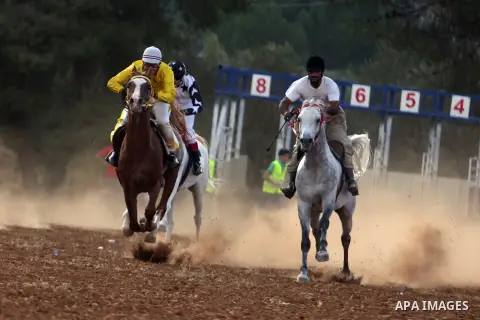 Palestinian jockeys race during an annual championship in the West Bank village of Turmus Aya, near Ramallah October 12, 2012. Some 60 competitors took part in the third annual local championship organised by the Turmus...