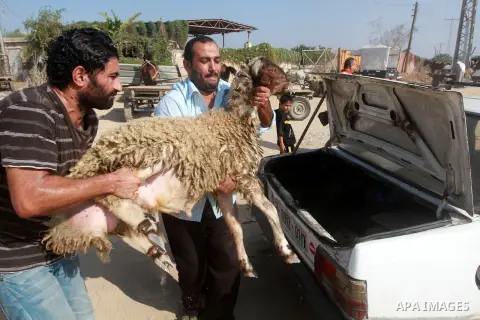 Palestinians trade goats at a local cattle market ahead of Muslim festival of Eid al-Adha, in Gaza city, on October 19, 2012. Muslims around the world prepare to celebrate Eid Al-Adha, which according to the lunar calend...