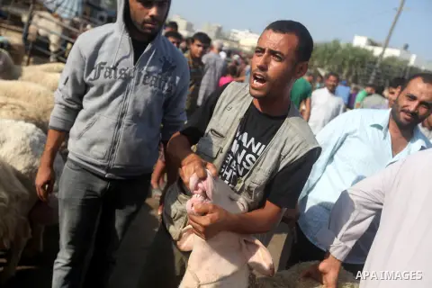 A Palestinian man shows the teeth of a goat as a sign of health at a local cattle market ahead of Muslim festival of Eid al-Adha, in Gaza city, on October 19, 2012. Muslims around the world prepare to celebrate Eid Al-Ad...