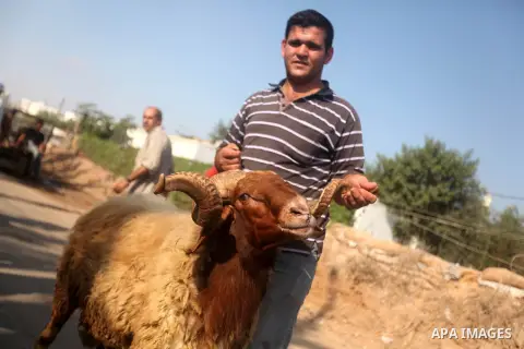 Palestinians trade goats at a local cattle market ahead of Muslim festival of Eid al-Adha, in Gaza city, on October 19, 2012. Muslims around the world prepare to celebrate Eid Al-Adha, which according to the lunar calend...