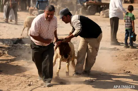 Palestinians trade goats at a local cattle market ahead of Muslim festival of Eid al-Adha, in Gaza city, on October 19, 2012. Muslims around the world prepare to celebrate Eid Al-Adha, which according to the lunar calend...