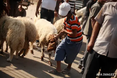 Palestinians trade goats at a local cattle market ahead of Muslim festival of Eid al-Adha, in Gaza city, on October 19, 2012. Muslims around the world prepare to celebrate Eid Al-Adha, which according to the lunar calend...