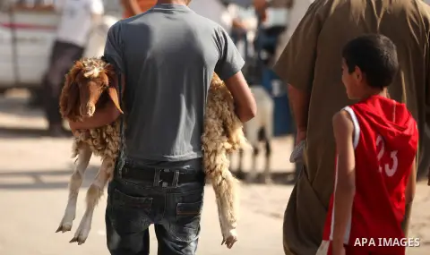 Palestinians trade goats at a local cattle market ahead of Muslim festival of Eid al-Adha, in Gaza city, on October 19, 2012. Muslims around the world prepare to celebrate Eid Al-Adha, which according to the lunar calend...