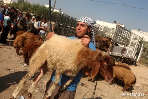 Palestinians trade goats at a local cattle market ahead of Muslim festival of Eid al-Adha, in Gaza city, on October 19, 2012. Muslims around the world prepare to celebrate Eid Al-Adha, which according to the lunar calend...