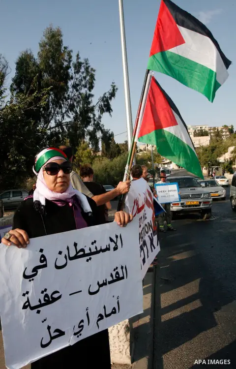 Palestinian and foreign activists hold Palestinian flags and placards during a protest against land confiscation in the neighborhood of Sheikh Jarrah in the east Jerusalem on Oct. 19, 2012. Photo by Mahfouz Abu Turk