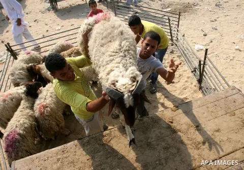 Palestinians trade goats at a local cattle market ahead of Muslim festival of Eid al-Adha, in Rafah in southern Gaza city, on October 20, 2012. Muslims around the world prepare to celebrate Eid Al-Adha, which according t...