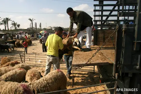Palestinians trade goats at a local cattle market ahead of Muslim festival of Eid al-Adha, in Rafah in southern Gaza city, on October 20, 2012. Muslims around the world prepare to celebrate Eid Al-Adha, which according t...