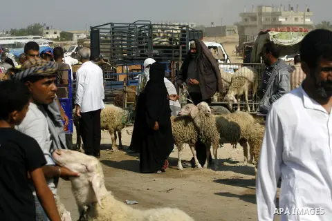 Palestinians trade goats at a local cattle market ahead of Muslim festival of Eid al-Adha, in Rafah in southern Gaza city, on October 20, 2012. Muslims around the world prepare to celebrate Eid Al-Adha, which according t...