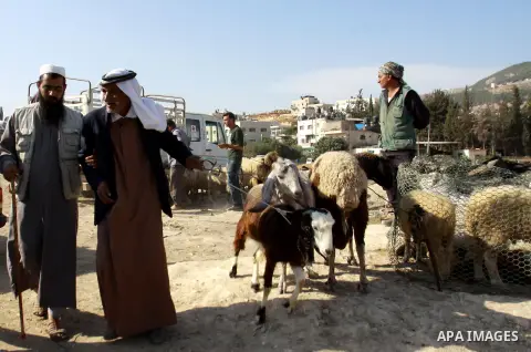 Palestinians trade goats at a local cattle market ahead of Muslim festival of Eid al-Adha, in the West Bank city of Nablus, on October 22, 2012. Muslims around the world prepare to celebrate Eid Al-Adha, which according...