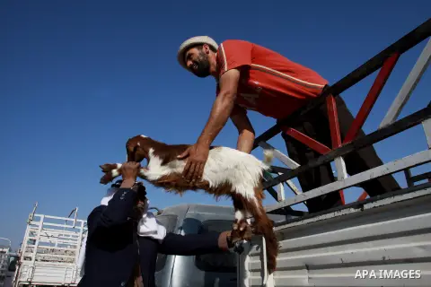 Palestinians trade goats at a local cattle market ahead of Muslim festival of Eid al-Adha, in the West Bank city of Nablus, on October 22, 2012. Muslims around the world prepare to celebrate Eid Al-Adha, which according...