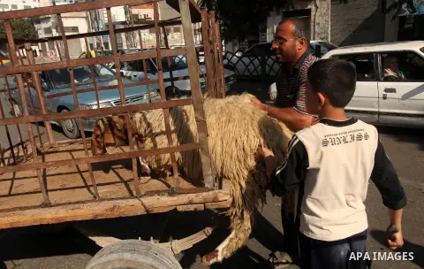 Palestinians trade goats at a local cattle market ahead of Muslim festival of Eid al-Adha, in Gaza city, on October 25, 2012, in preparation for Eid al-Adha. Millions of Muslims around the world celebrate Eid al-Adha or...