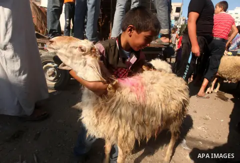 Palestinians trade goats at a local cattle market ahead of Muslim festival of Eid al-Adha, in Gaza city, on October 25, 2012, in preparation for Eid al-Adha. Millions of Muslims around the world celebrate Eid al-Adha or...