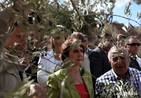 Palestinian Prime Minister Salam Fayyad and EU Foreign Policy chief Catherine Ashton help Palestinian farmers during harvesting olives in the West Bank village of Ras Karkar near Ramallah, on October 25, 2012. Photo by I...