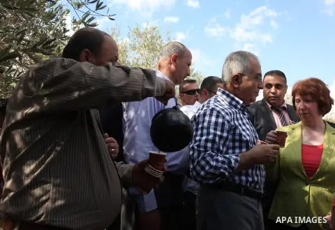 Palestinian Prime Minister Salam Fayyad and EU Foreign Policy chief Catherine Ashton help Palestinian farmers during harvesting olives in the West Bank village of Ras Karkar near Ramallah, on October 25, 2012. Photo by I...