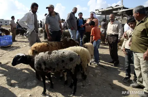 Palestinians trade goats at a local cattle market ahead of Muslim festival of Eid al-Adha, in the West Bank city of Nablus, on October 25, 2012. Muslims around the world prepare to celebrate Eid Al-Adha, which according...