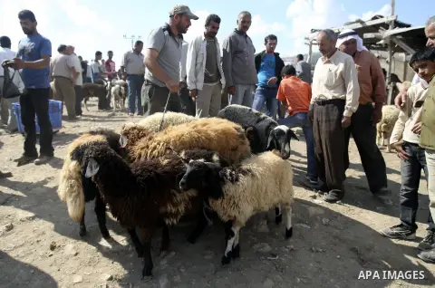 Palestinians trade goats at a local cattle market ahead of Muslim festival of Eid al-Adha, in the West Bank city of Nablus, on October 25, 2012. Muslims around the world prepare to celebrate Eid Al-Adha, which according...