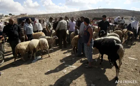 Palestinians trade goats at a local cattle market ahead of Muslim festival of Eid al-Adha, in the West Bank city of Nablus, on October 25, 2012. Muslims around the world prepare to celebrate Eid Al-Adha, which according...