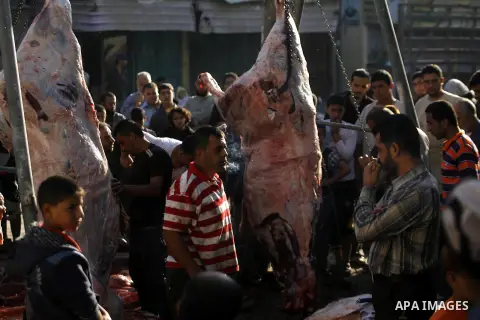 Palestinians slaughter a calf and sheep on the first day of the Muslim holiday of Eid al-Adha in Rafah in the southern Gaza Strip Oct. 26, 2012. Muslims around the world celebrate Eid al-Adha to mark the end of the haj b...