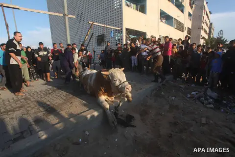 Palestinians watch as a butcher slaughters a bull on the first day of Eid al-Adha at Khan Younis in the southern Gaza Strip October 26, 2012. Muslims around the world celebrate Eid-al-Adha, marking the end of the haj, by...