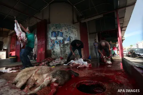 Palestinians slaughter a calf and sheep on the first day of the Muslim holiday of Eid al-Adha in the West Bank city of Ramallah Oct. 26, 2012. Muslims around the world celebrate Eid al-Adha to mark the end of the haj by...