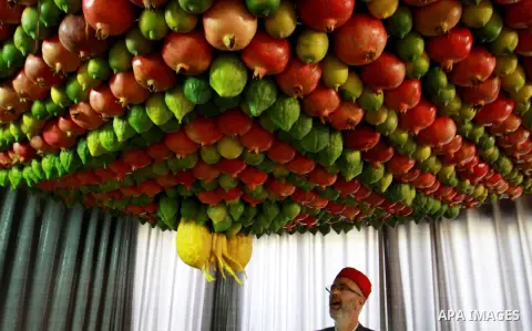 Palestinian Man from the ancient Samaritan community decorate a house, made from fresh fruit for the holy day of the Tabernacles or Sukkot in Mount Gerizim near the West Bank city of Nablus ,October 28, 2012. Photo by Ne...