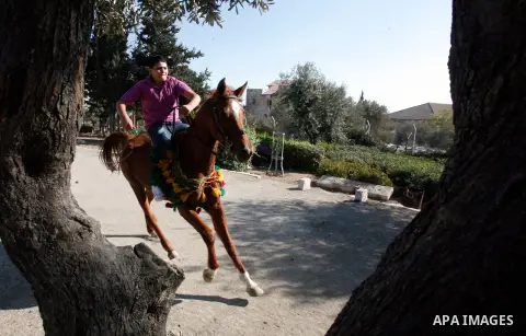 A Palestinian youth enjoys ride horses during the third day of Eid al-Adha in Jerusalem city on 28 October 2012. Eid al-Adha, or the Feast of the Sacrifice, is celebrated to commemorate the Prophet Ibrahim's (Prophet Abr...