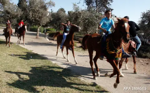 Palestinian youths enjoy ride horses during the third day of Eid al-Adha in Jerusalem city on 28 October 2012. Eid al-Adha, or the Feast of the Sacrifice, is celebrated to commemorate the Prophet Ibrahim's (Prophet Abrah...