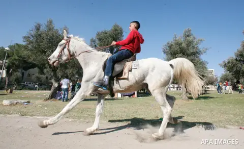 A Palestinian youth enjoys ride horses during the third day of Eid al-Adha in Jerusalem city on 28 October 2012. Eid al-Adha, or the Feast of the Sacrifice, is celebrated to commemorate the Prophet Ibrahim's (Prophet Abr...