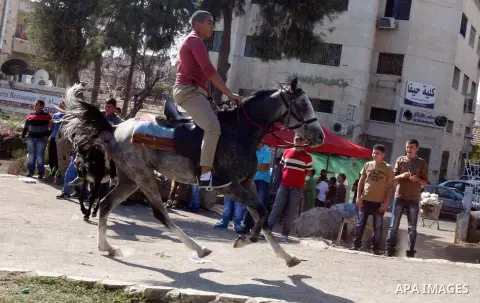 A Palestinian youth enjoys ride horses during the third day of Eid al-Adha in Jerusalem city on 28 October 2012. Eid al-Adha, or the Feast of the Sacrifice, is celebrated to commemorate the Prophet Ibrahim's (Prophet Abr...
