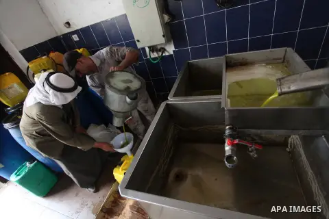 A Palestinian worker fills a can of olive oil freshly pressed in the West Bank city of Ramallah on October 31, 2012. Farmers across the Palestinian territories have started to harvest their olives, with many making their...