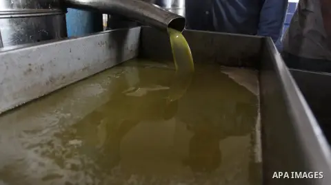 Freshly olive oil pressed in the West Bank city of Ramallah on October 31, 2012. Farmers across the Palestinian territories have started to harvest their olives, with many making their own olive oil and soap both for per...