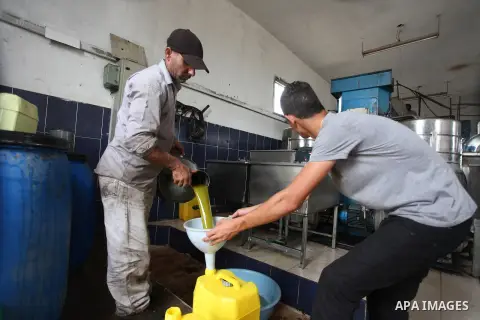 A Palestinian worker fills a can of olive oil freshly pressed in the West Bank city of Ramallah on October 31, 2012. Farmers across the Palestinian territories have started to harvest their olives, with many making their...