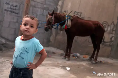 A Palestinian refugee boy stands outside his house in the Shati refugee camp in Gaza City on November 2, 2012. The turbulent political conditions that prevailed in Palestine after Balfour Declaration up to 1948, have sig...