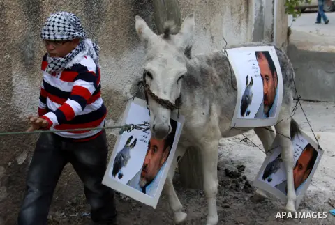 A Palestinian boy with a donkey attached with pictures of Israeli Foreign Minister Avigdor Lieberman, participates in a weekly protest against the expropriation of Palestinian land by Israel in the village of Kfar Qaddum...