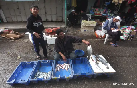 A Palestinian man sells fish at a market in Gaza City, 25 November 2012. Normal life in Gaza resumed remarkably fast after a ceasefire agreement was announced following eight days of cross border violence between Israel...