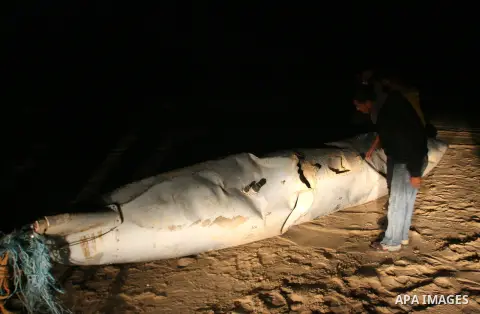 Palestinians stand next to what they said a part of an Israeli warplane on the beach of Rafah in southern Gaza strip, November 26, 2012. According to Hamas sources, Palestinian militant groups in the Gaza strip shot down...