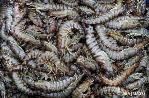 Palestinian men sell fish at a market in Gaza City November 27, 2012. Israel eased restrictions on Gaza fishermen on Saturday, further implementing truce brokered by Egypt after a week of fierce fighting, Palestinian off...