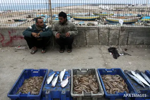 Palestinian men sell fish at a market in Gaza City November 27, 2012. Israel eased restrictions on Gaza fishermen on Saturday, further implementing truce brokered by Egypt after a week of fierce fighting, Palestinian off...