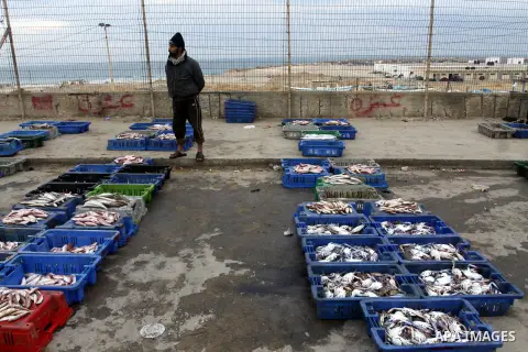 Palestinian men sell fish at a market in Gaza City November 27, 2012. Israel eased restrictions on Gaza fishermen on Saturday, further implementing truce brokered by Egypt after a week of fierce fighting, Palestinian off...